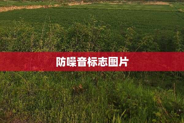 防噪音标志图片