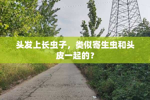 头发上长虫子，类似寄生虫和头皮一起的？