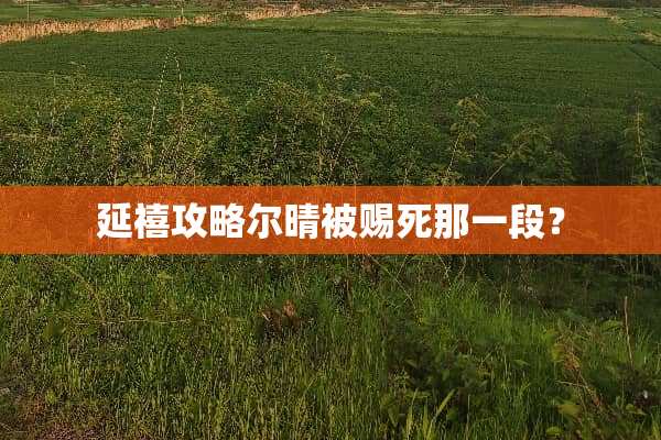 延禧攻略尔晴被赐死那一段？