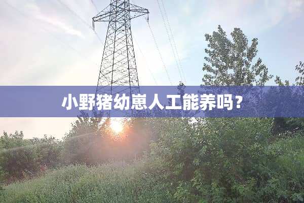 小野猪幼崽人工能养吗？