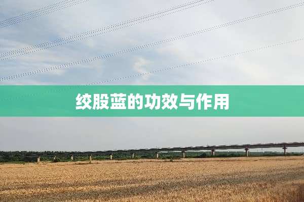 绞股蓝的功效与作用