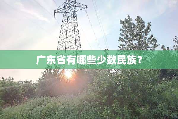 广东省有哪些少数民族？