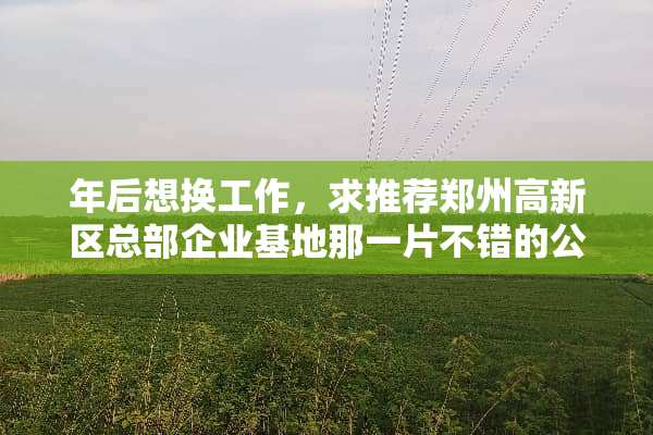 年后想换工作，求推荐郑州高新区总部企业基地那一片不错的公司~~谢谢