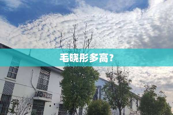 毛晓彤多高？