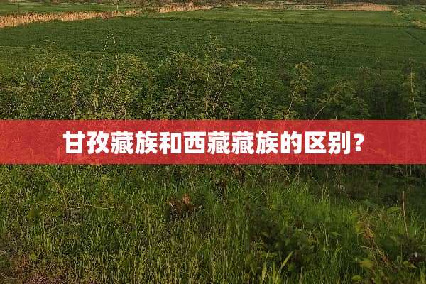 甘孜藏族和西藏藏族的区别？