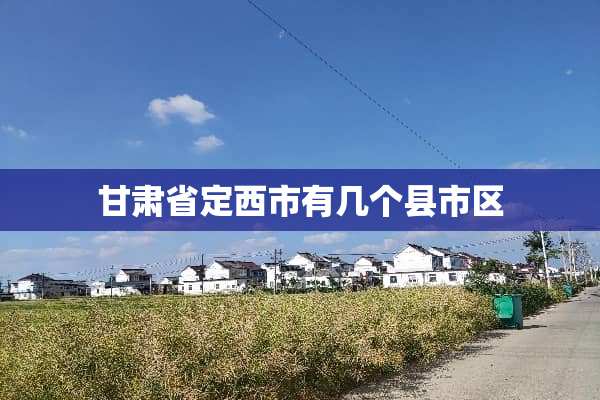 甘肃省定西市有几个县市区