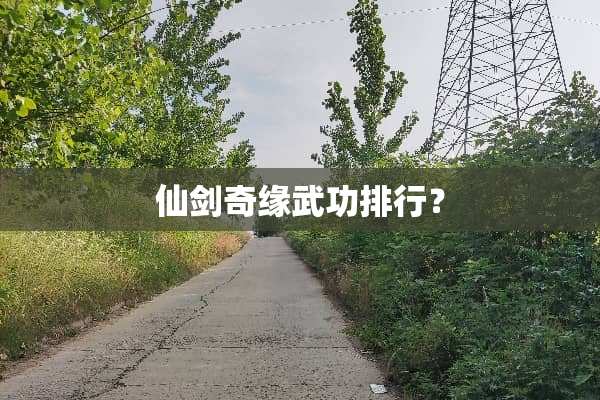 仙剑奇缘武功排行？