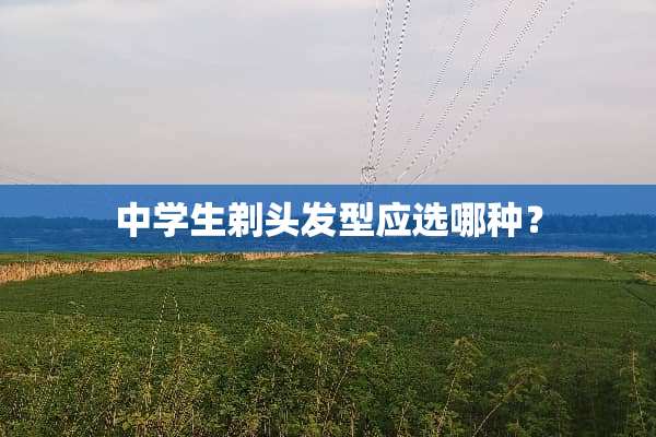 中学生剃头发型应选哪种？