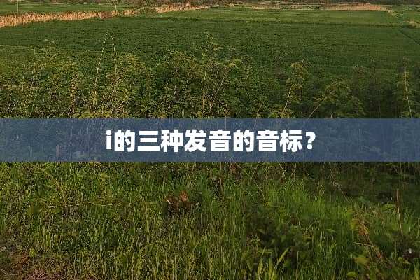 i的三种发音的音标？