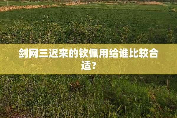 剑网三迟来的钦佩用给谁比较合适？