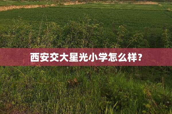 西安交大星光小学怎么样？