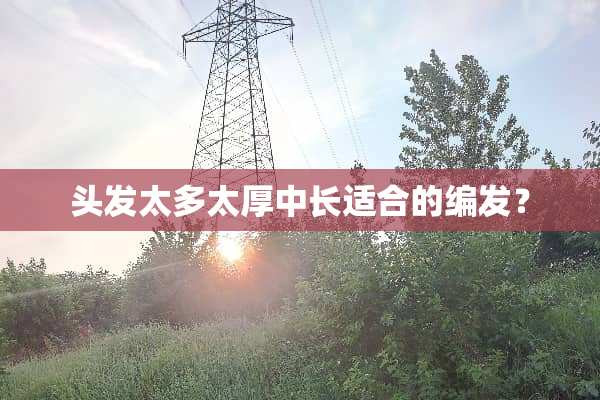 头发太多太厚中长适合的编发？