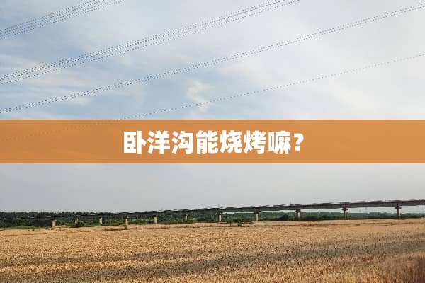 卧洋沟能烧烤嘛？