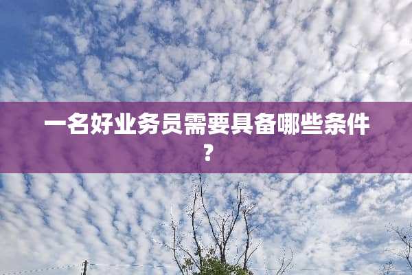 一名好业务员需要具备哪些条件？