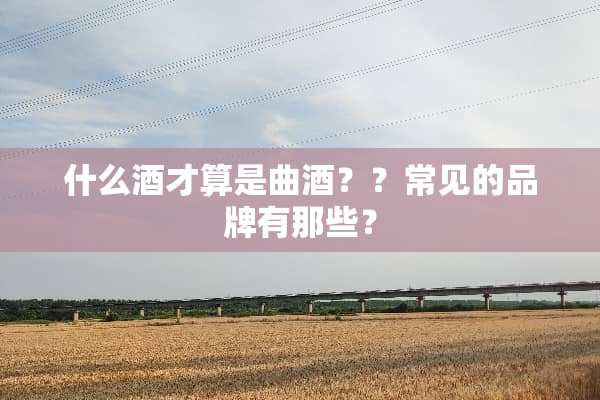 什么酒才算是曲酒？？常见的品牌有那些？