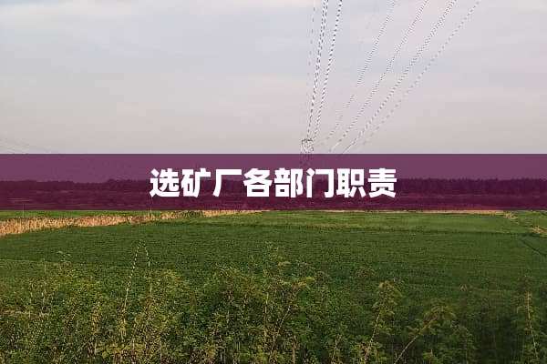 选矿厂各部门职责