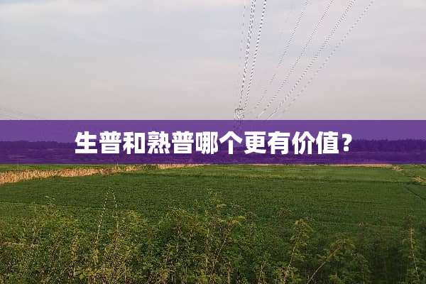 生普和熟普哪个更有价值？