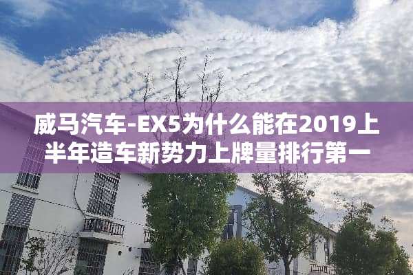 威马汽车-EX5为什么能在2019上半年造车新势力上牌量排行第一？