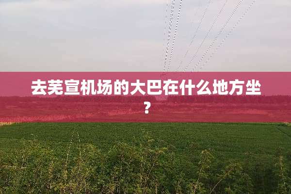 去芜宣机场的大巴在什么地方坐？