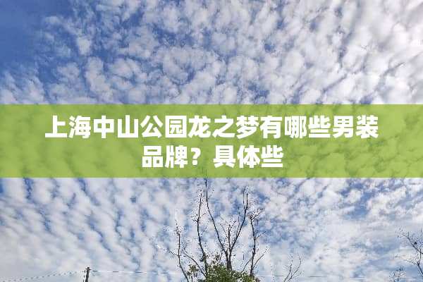 上海中山公园龙之梦有哪些男装品牌？具体些