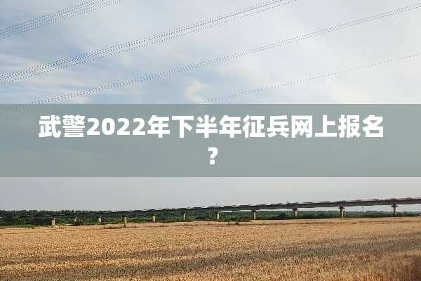 **2022年下半年征兵网上报名？