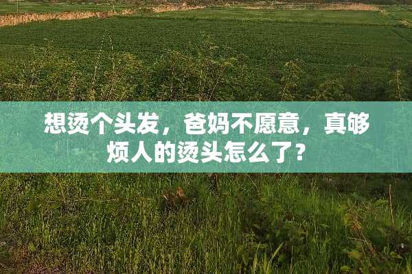 想烫个头发，爸妈不愿意，真够烦人的烫头怎么了？