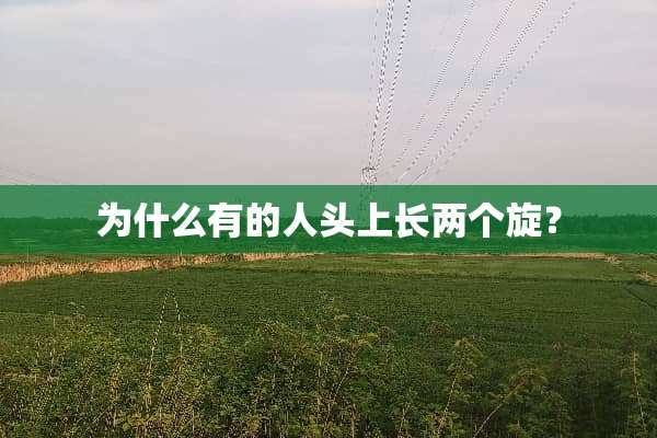 为什么有的人头上长两个旋？