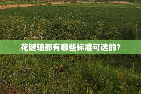花键轴都有哪些标准可选的？