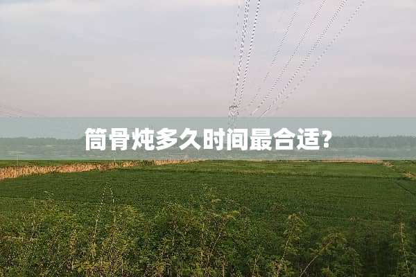 筒骨炖多久时间最合适？