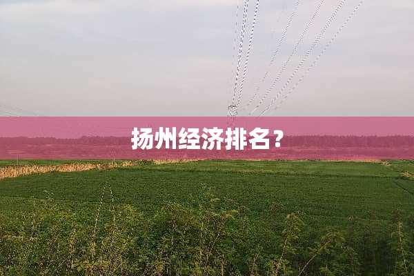 扬州经济排名？
