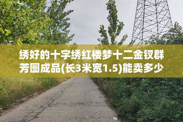 绣好的十字绣红楼梦十二金钗群芳图成品(长3米宽1.5)能卖多少钱？