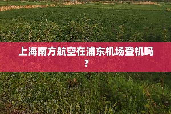 上海南方航空在浦东机场登机吗？