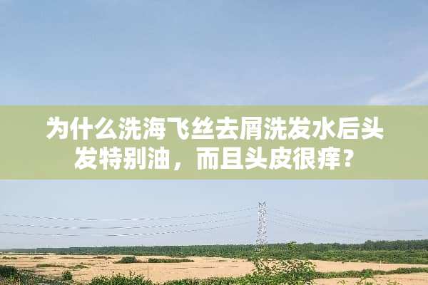 为什么洗海飞丝去屑洗发水后头发特别油，而且头皮很痒？