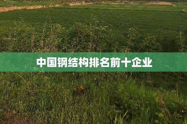 中国钢结构排名前十企业