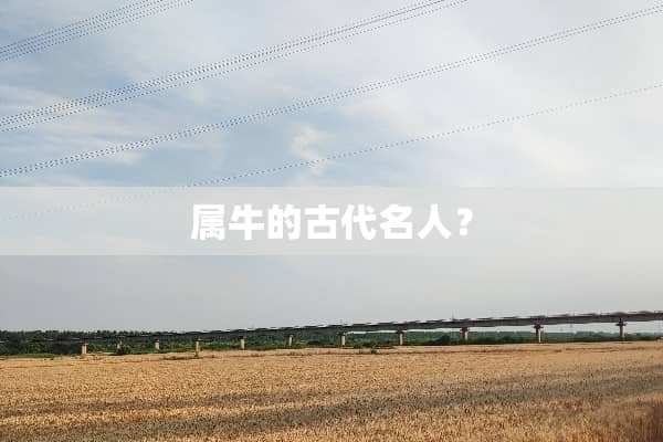 属牛的古代名人？