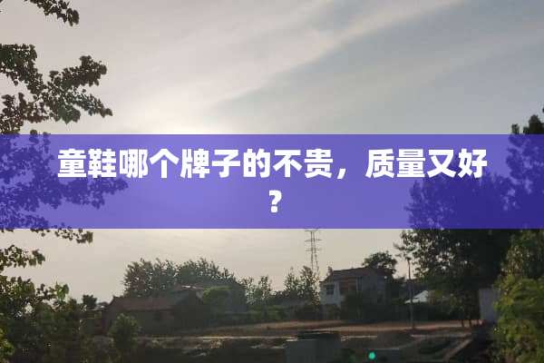 童鞋哪个牌子的不贵，质量又好？