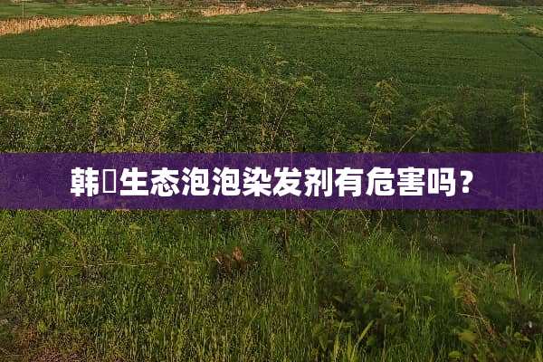 韩愢生态泡泡染发剂有危害吗？