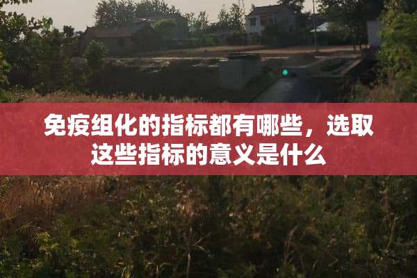 免疫组化的指标都有哪些，选取这些指标的意义是什么
