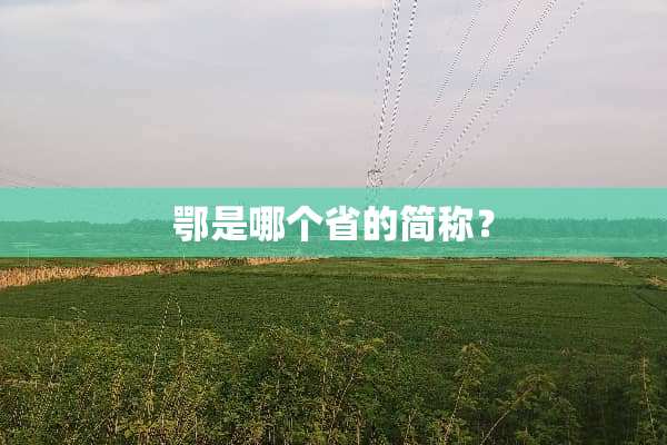 鄂是哪个省的简称？
