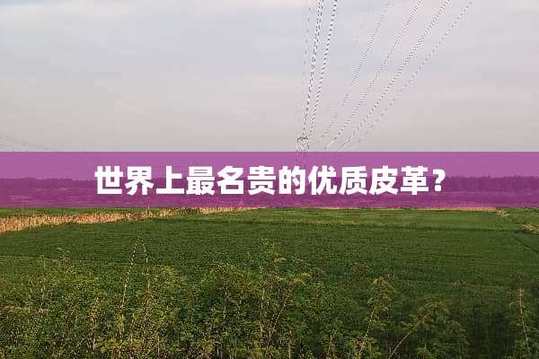 世界上最名贵的优质皮革？