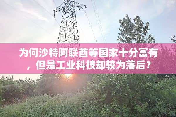 为何沙特阿联酋等国家十分富有，但是工业科技却较为落后？