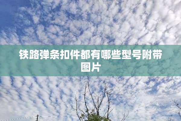 铁路弹条扣件都有哪些型号附带图片
