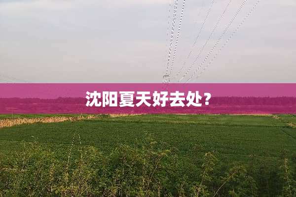 沈阳夏天好去处？