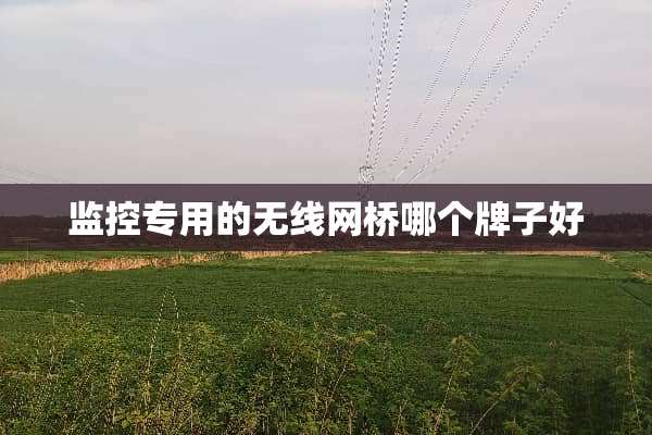 监控专用的无线网桥哪个牌子好