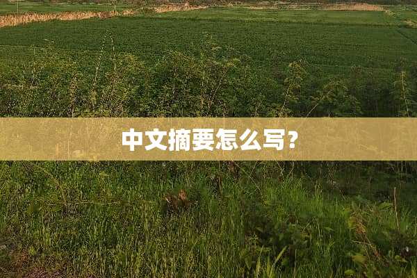 中文摘要怎么写？