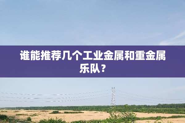 谁能推荐几个工业金属和重金属乐队？