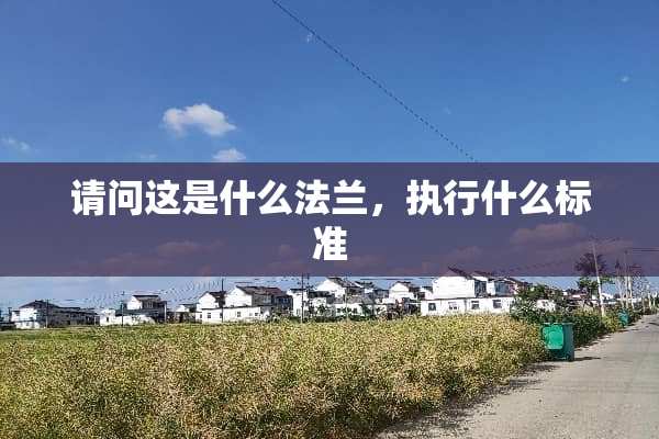 请问这是什么法兰，执行什么标准