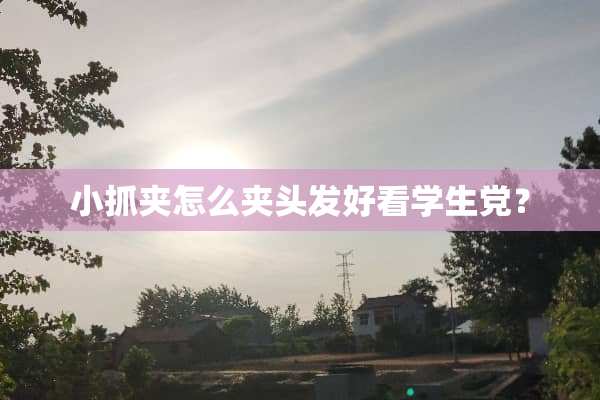 小抓夹怎么夹头发好看学生党？