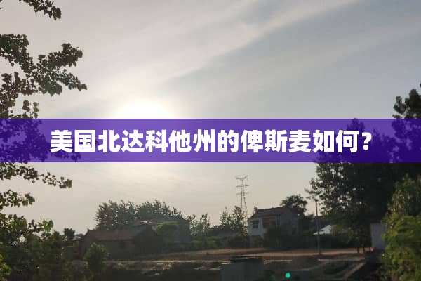 美国北达科他州的俾斯麦如何？