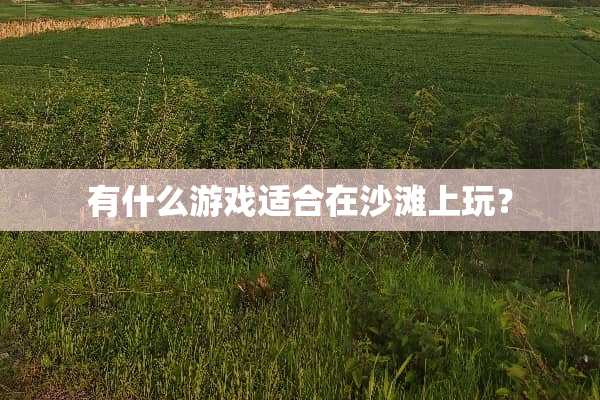 有什么游戏适合在沙滩上玩？